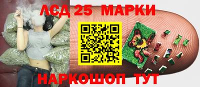 mdma Можга
