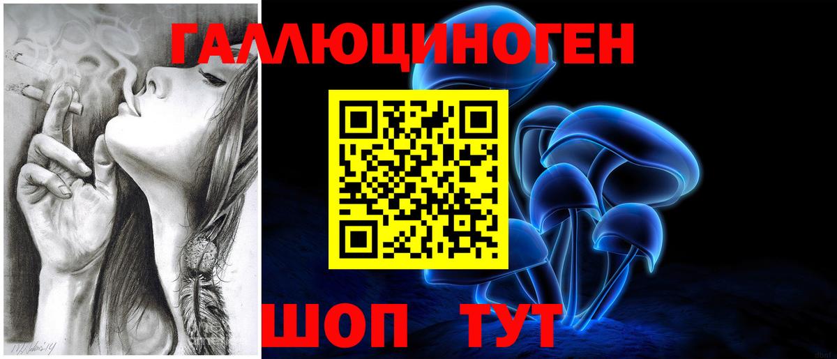 Губкинский  Псилоцибиновые грибы Psilocybine cubensis  Вход с VPN 